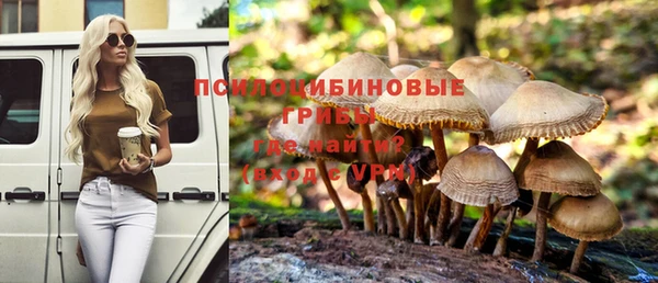 а пвп мука Бугульма