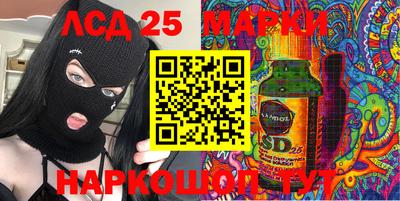 стаф Шелехов