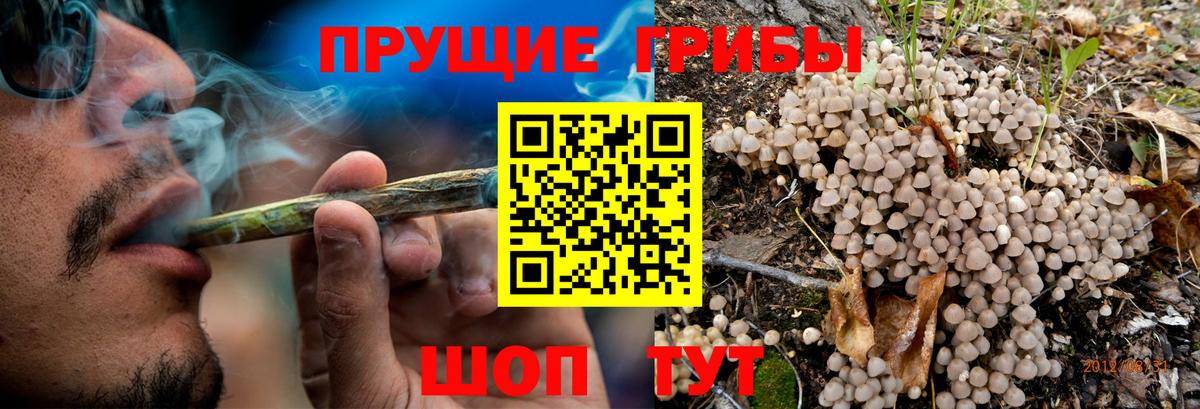 Невинномысск  Галлюциногенные грибы мухоморы  Вход с VPN  Псилоцибиновые грибы Magic Shrooms 